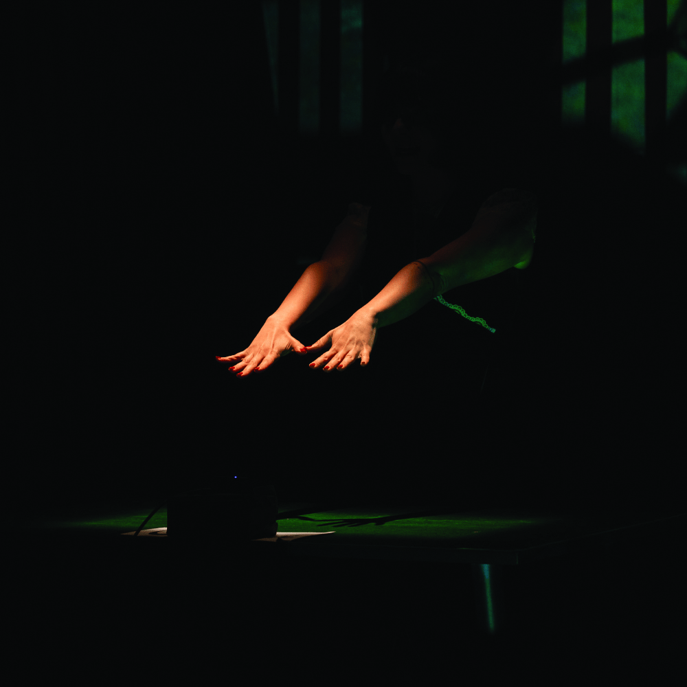 IMG-1